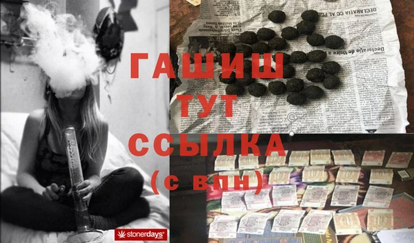 гашик Елизово