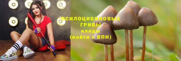 ECSTASY Заволжск