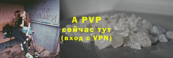 гашик Елизово