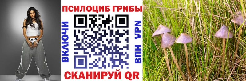 Купить где  Звенигово  Псилоцибиновые грибы GOLDEN TEACHER 